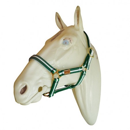 CABEZADA MARJOMAN DE CANUTILLO Ex-FULL