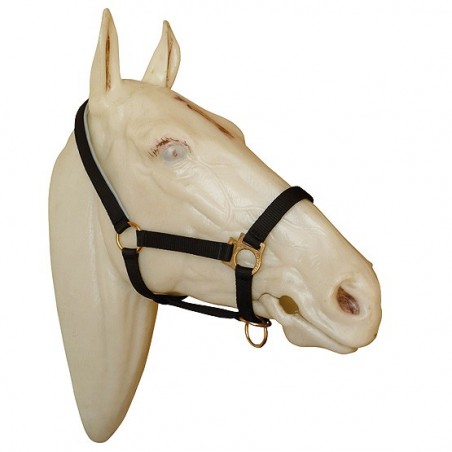 CABEZADA MARJOMAN DE NYLON CLOSED MOUTH