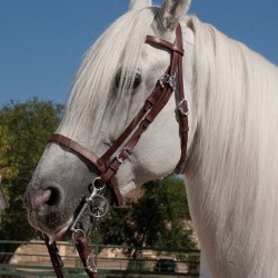 CABEZADA MARJOMAN MODELO PORTUGUÉS CON MUSEROLA INGLESA...