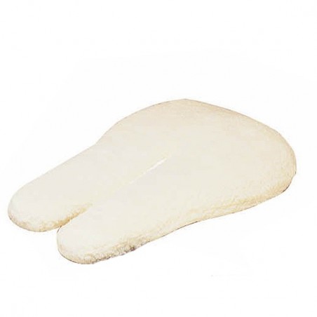 SALVACRUCES MARJOMAN CON BORREGUILLO