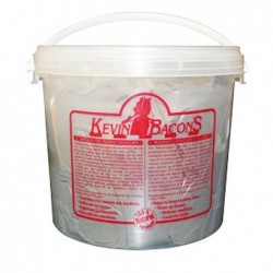 KEVIN BACON'S ARCILLA DE MANICOUAGAN 2KG