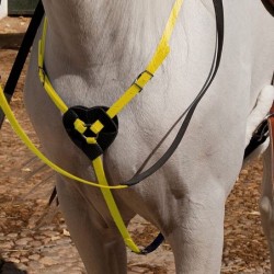 PECHOPETRAL BIOTANE RAID  AMARILLO